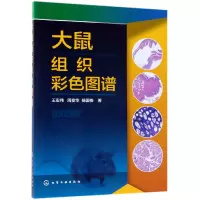 音像大鼠组织彩色图谱王宏伟,周变华,杨国栋著