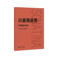 音像小奏鸣曲集(声像教学版)傅红