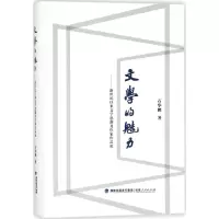 音像文学的魅力石华鹏 著