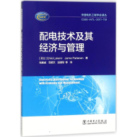 音像配电技术及其经济与管理