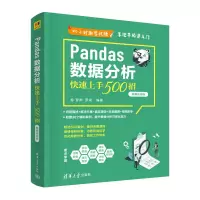 音像Pandas数据分析速上500招(微课视频版)罗帅、罗斌