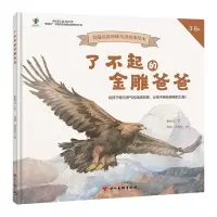 音像了不起的金雕爸爸崔岸儿