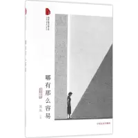 音像哪有那么容易流岚 著