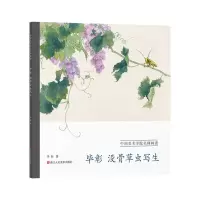 音像彰没骨草虫写生彰