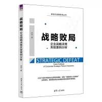 音像战略败局 企业战略决策失败案例分析谷征