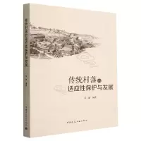 音像传统村落的适应保护与发展徐峰