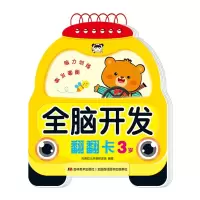 音像全脑开发翻翻卡 3岁吉美幼儿早教研发组