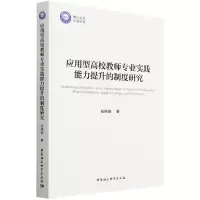 音像应用型高校教师专业实践能力提升的制度研究侯钢