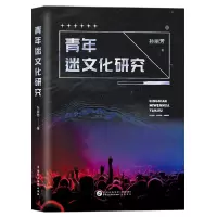 音像青年迷文化研究孙丽芳著