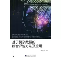 音像基于复杂数据的综合评价方法及应用曾守桢