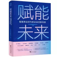 音像赋能未来(智能商业时代的企业创新实践)长江商学院案例中心