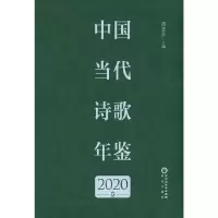 音像中国当代诗歌年鉴 2020卷周瑟瑟 编