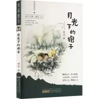 音像薛涛大地·星空系列 月光下的狍子薛涛