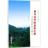 音像敕木山中的畲族红寨方清云 等 著