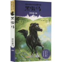 音像黑骏马(英)安娜·休厄尔