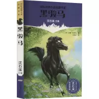 音像黑骏马(英)安娜·休厄尔