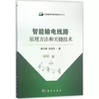 音像智能输电线路原理方法和关键技术盛戈皞,刘亚东 著