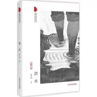 音像洪水流岚 著