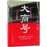 音像大商号徐君儿 著