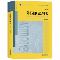 音像外国刑法纲要(第三版)张明楷