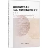 音像能源消费转型及其社会、经济和环境影响研究张馨 著