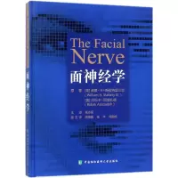 音像面神经学
