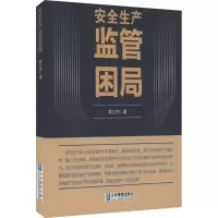 音像透析 安全生产监管困局郭立杰