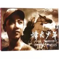 音像烽火少年严锴,张照富 编