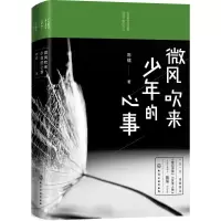 音像微风吹来少年的心事陈镭 著