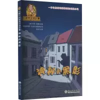 音像神秘的黑影(奥)卡琳·阿莫热