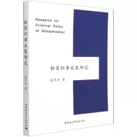 音像轻罪刑事政策研究凌萍萍
