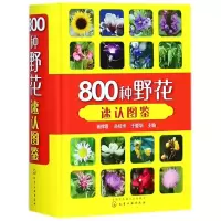 音像800种野花速认图鉴(精)杨辉霞