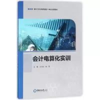 音像会计电算化实训编者:王节云// 著作 著