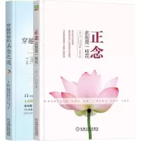 音像正念大师套装(更新版)(全2册)(美)乔·卡巴金 等