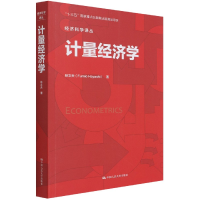 音像计量经济学/经济科学译丛林文夫