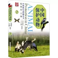 音像中国保护动物 2华惠伦,王义炯,杨雄里 编