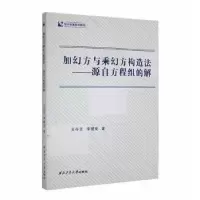 音像加幻方与乘幻方构造法——源自方程组的解王存吉,李健美