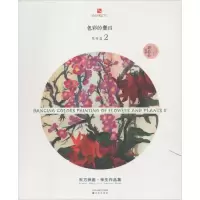 音像色彩的舞蹈刘芯芯 编著