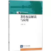 音像著作权法解读与应用袁博 著