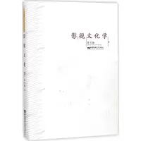 音像影视文化学史可扬 著