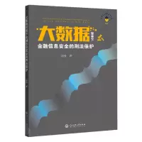 音像大数据背景下金融信息安全的刑法保护田刚