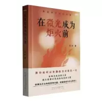 音像在微光成为炬火前岳松
