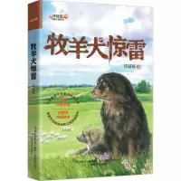音像牧羊犬惊雷许廷旺