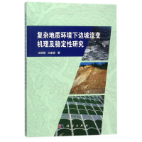 音像复杂地质环境下边坡流变机理及稳定研究王新刚//王家鼎