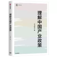 音像理解中业政策/研究论丛江飞涛等