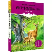 音像两个小野蛮人(下)(加)西顿