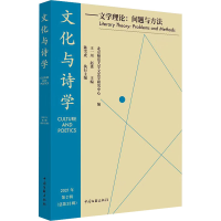 音像文化与诗学——文学理论:问题与方法王一川,赵勇 编