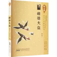 音像雌雄大盗赵华