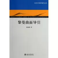 音像黎曼曲面导引/北京大学现代数学丛书梅加强