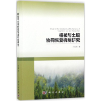 音像植被与土壤协同恢复机制研究闫东锋 著